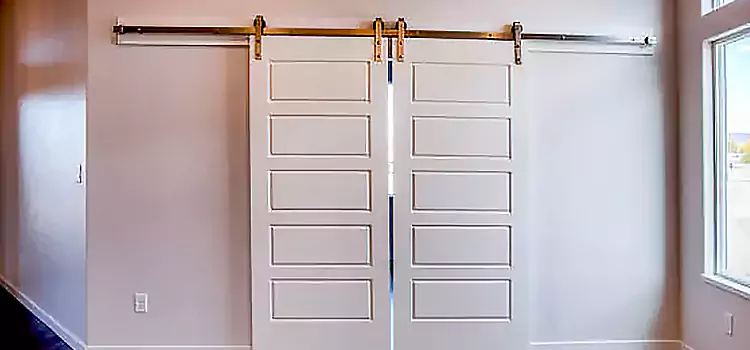 Glass Barn Door with Installation Hardware Kit Orillia